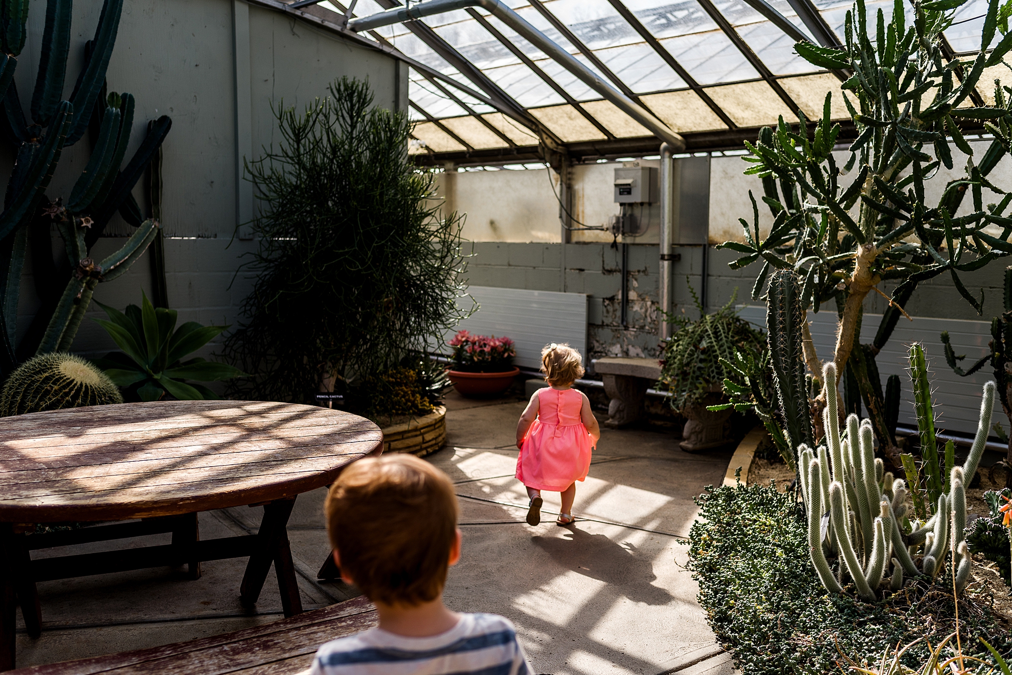 siblings running through a greenhouse