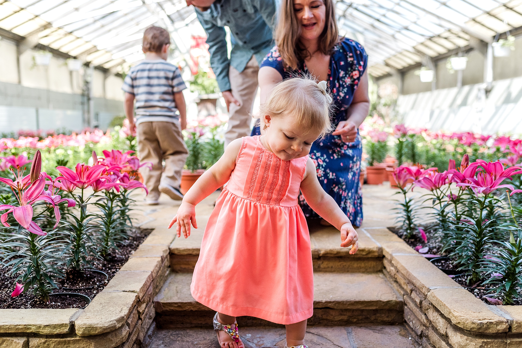family exploring a greenhouse photography session