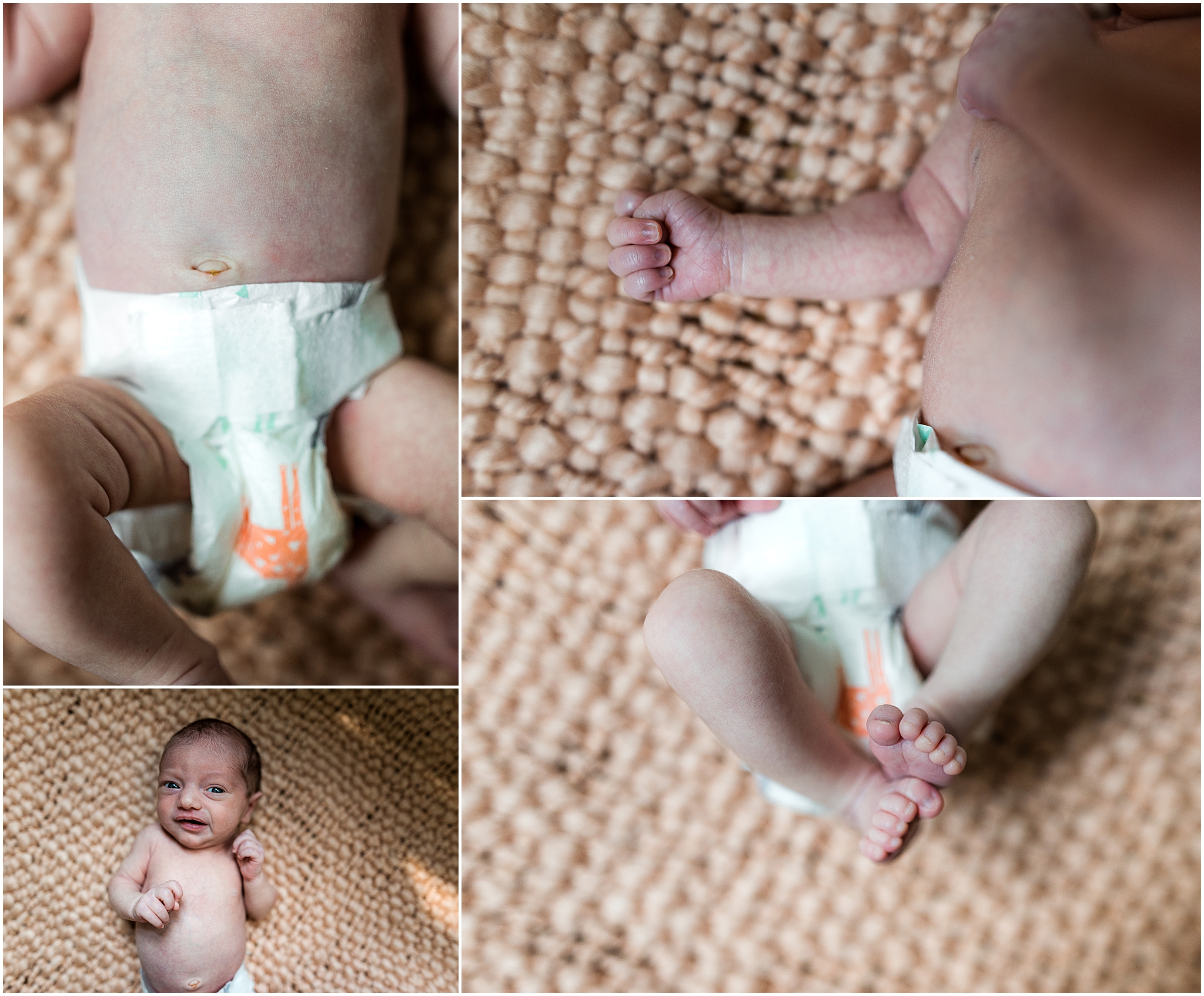 baby details photography session